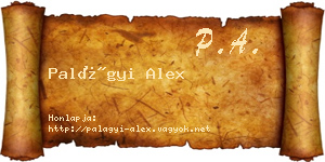 Palágyi Alex névjegykártya