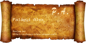 Palágyi Alex névjegykártya